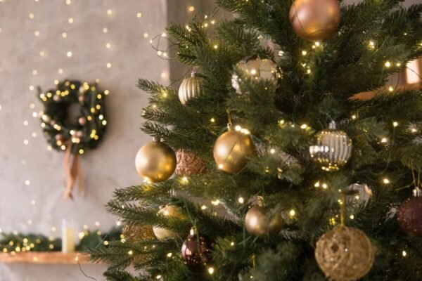 Erster Christtag | Weihnachten